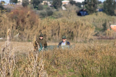 Patos 08/01/2012